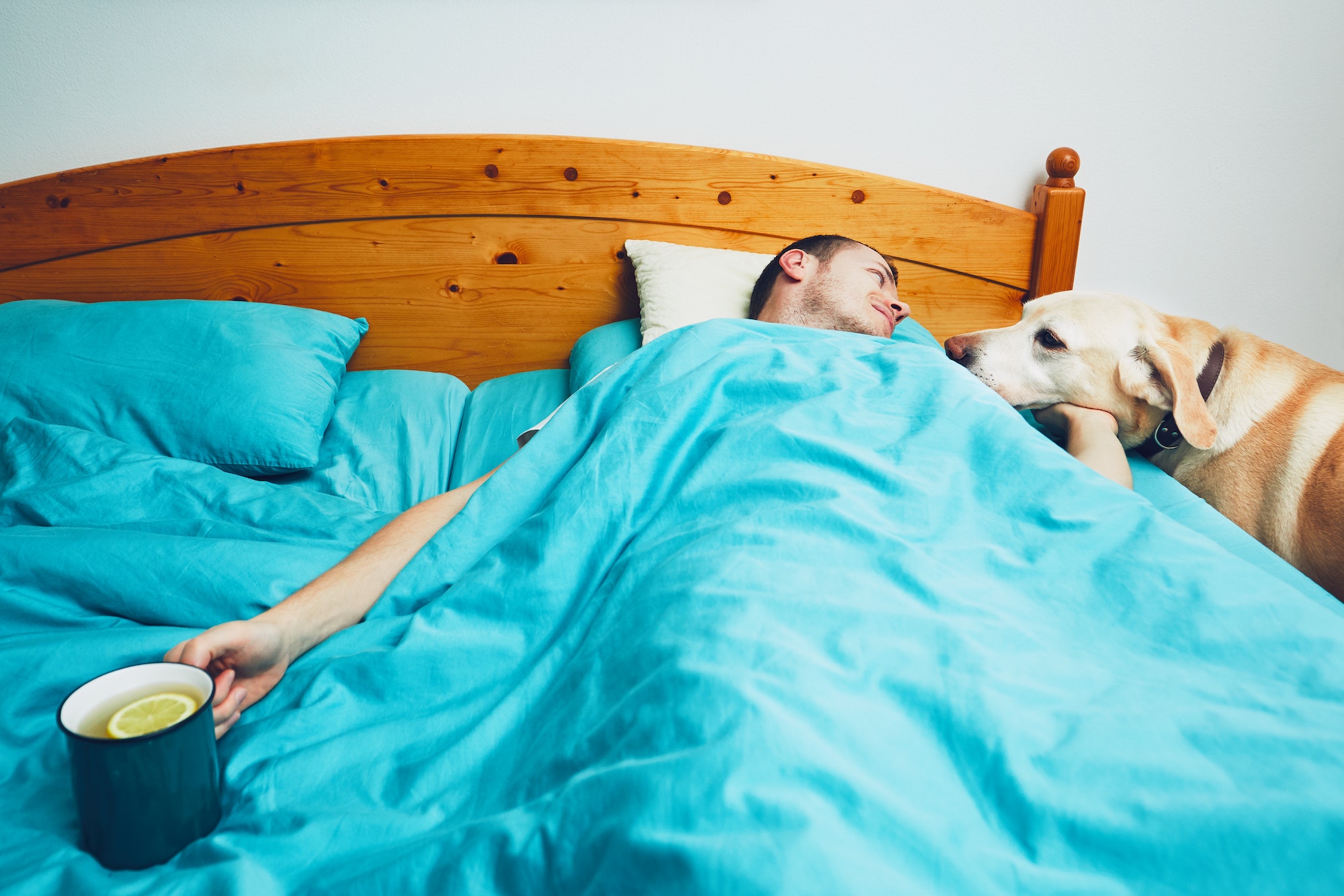 LAS VACUNAS INFLUENZA EN LA EMPRESA